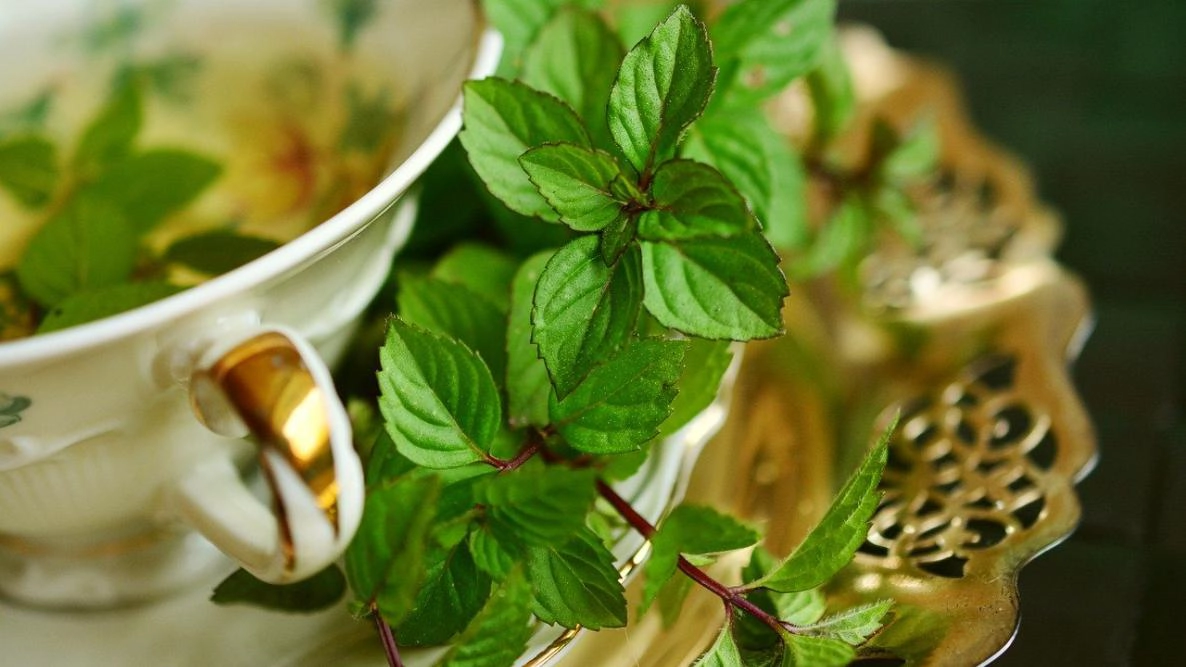 خشک کردن چای